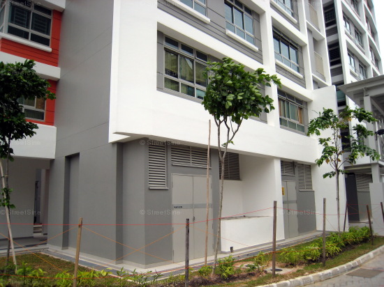 Blk 271A Tivela (Sengkang), HDB 4 Rooms #291622